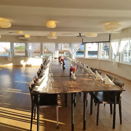 Fugl Fonix Etnesjoen