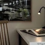 Fugl Fonix 3* Etnesjoen