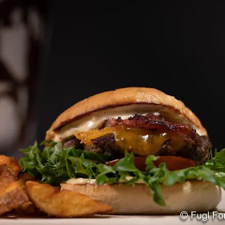 Fugl Fonix 호텔 Etnesjoen