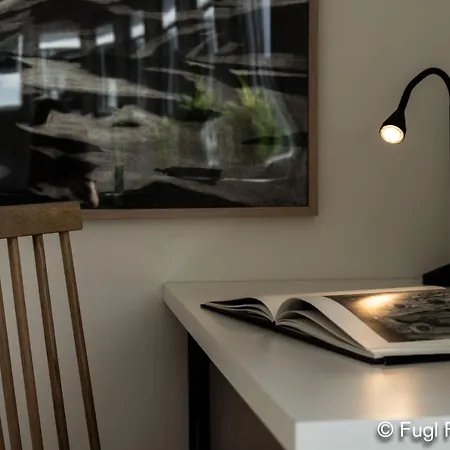 Fugl Fonix 3* Etnesjoen