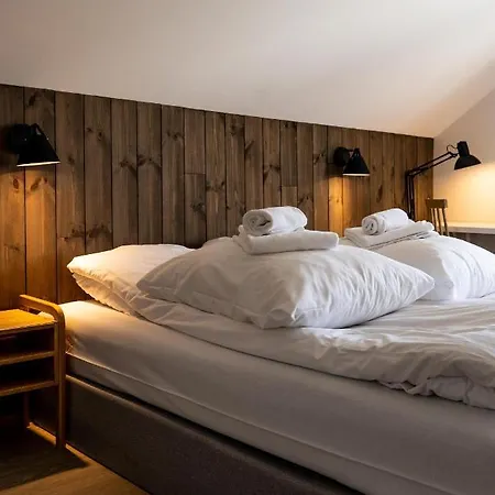 Fugl Fonix 호텔 3*