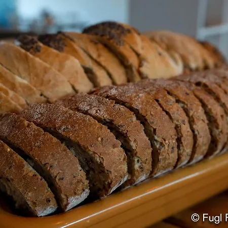 Fugl Fonix 3* Etnesjoen