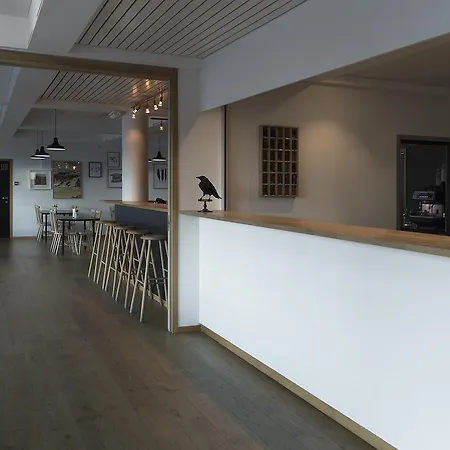 Fugl Fonix Etnesjoen